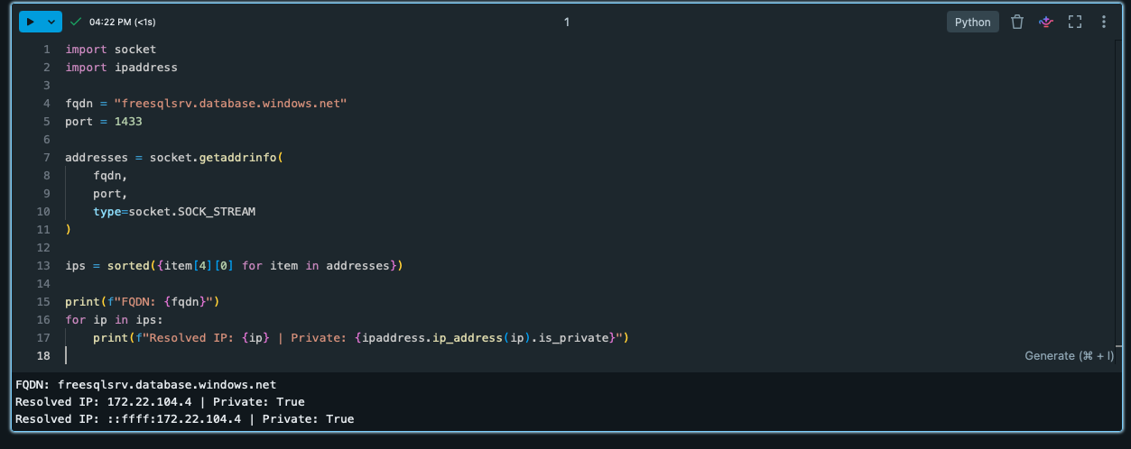 Databricks Serverless notebook validating DNS and private IP